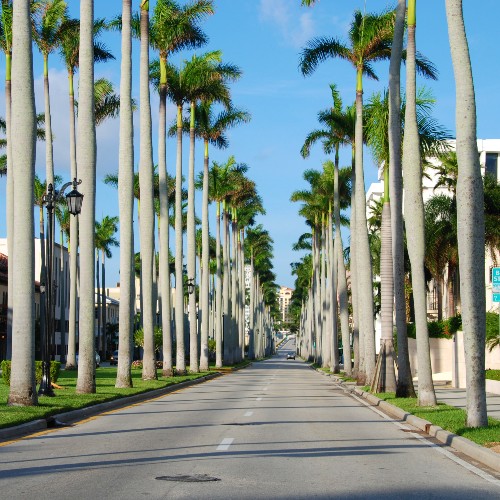 Fort Lauderdale Travel Guide - Downtown & The Beaches 