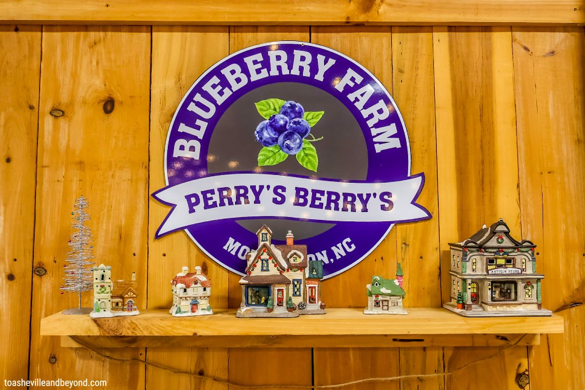 Perry-Berrys-Blueberry-Farm-Morganton-NC-Winery