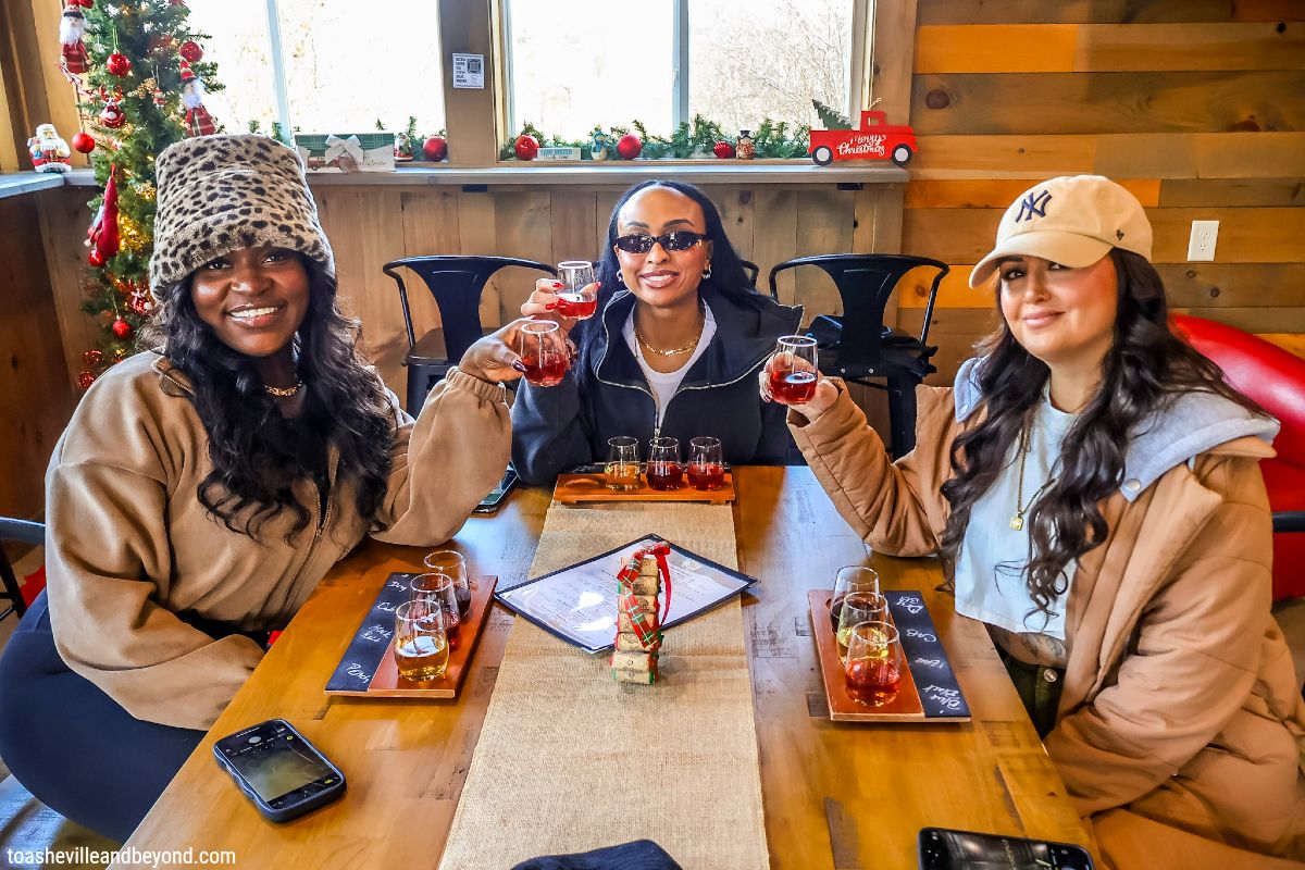 Perry-Berrys-Winery-Vineyard-Morganton-NC